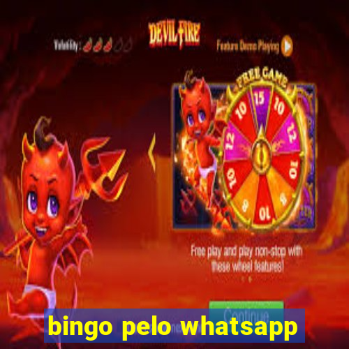 bingo pelo whatsapp